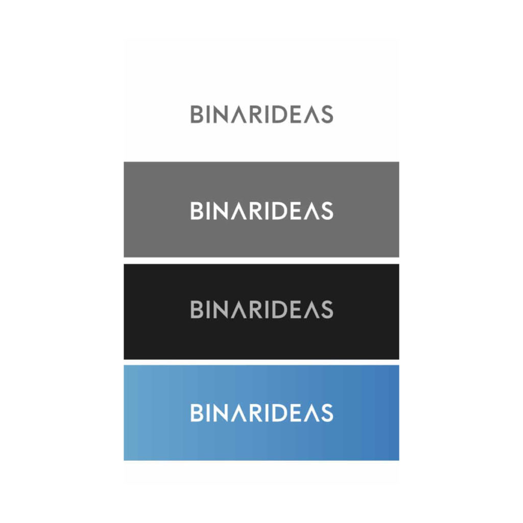 Desarrollo de identidad de marca para Binarideas
